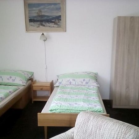 Apartment Vysocina Svratka Exteriör bild