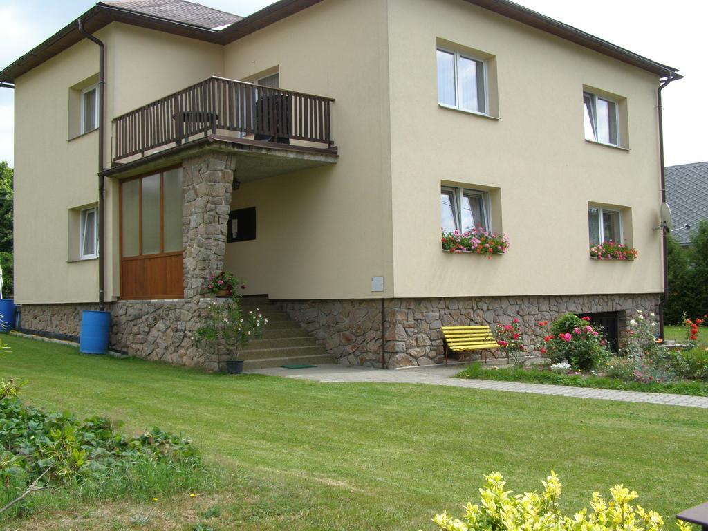 Apartment Vysocina Svratka Rum bild