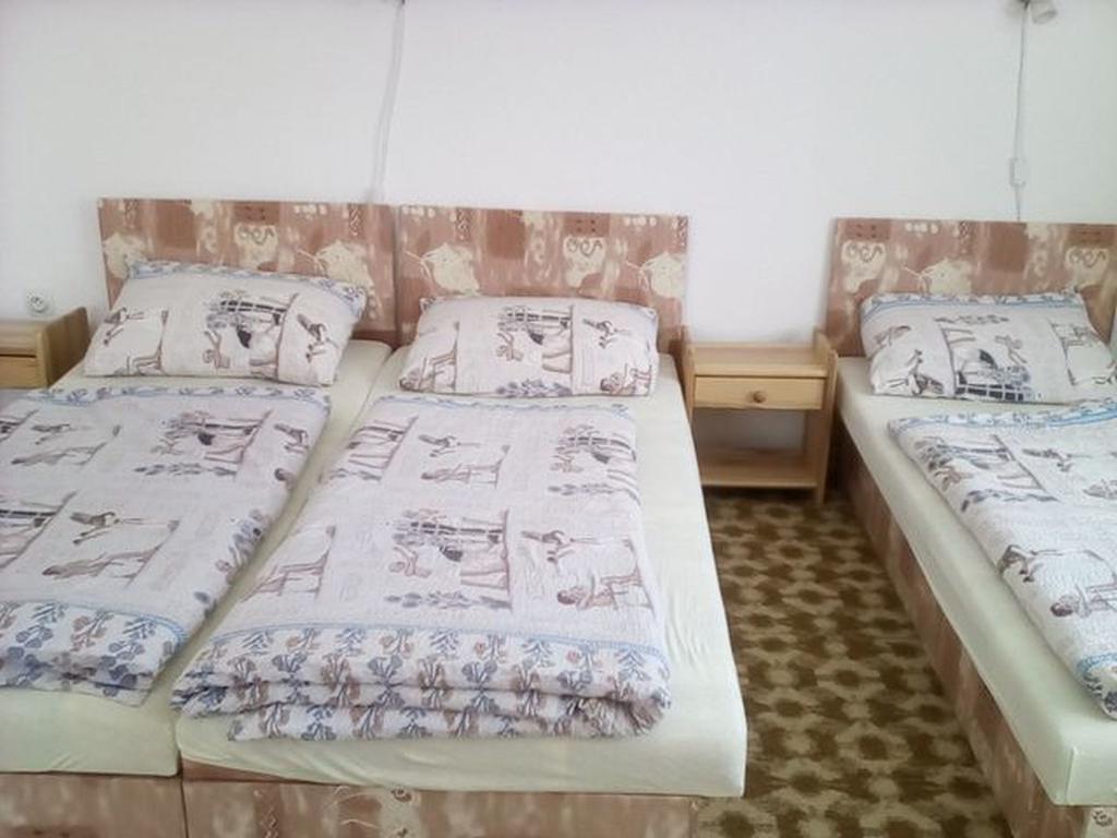 Apartment Vysocina Svratka Exteriör bild